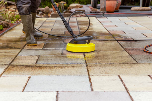 Best Animal Enclosure Cleaning  in St Augustine, FL