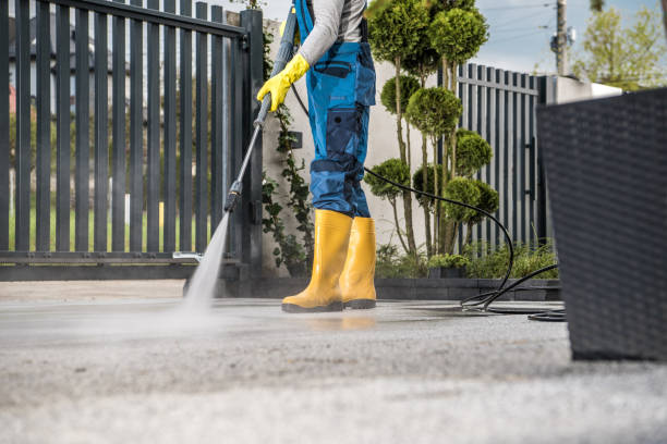 Best Building Exterior Washing  in St Augustine, FL